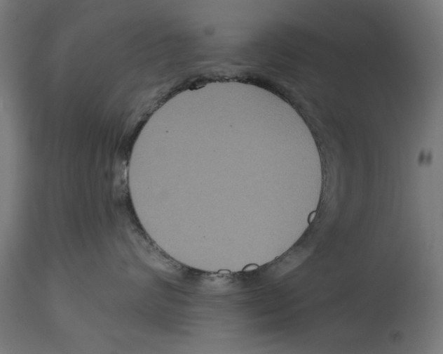 X0000114720624200911181406