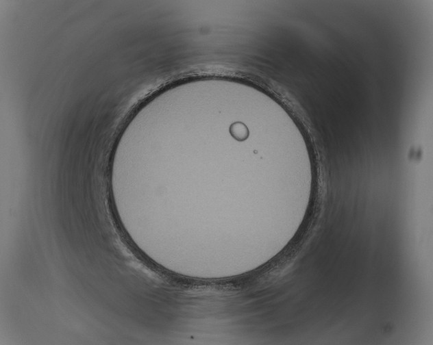 X0000114720625200911181405