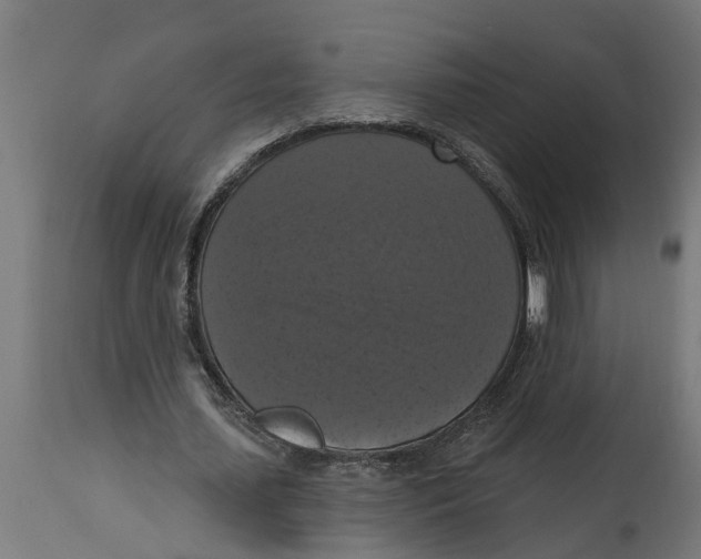 X0000114720627200911181405