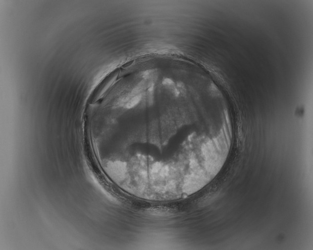 X0000114720630200911181405