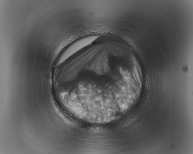 X0000114720634200911181405