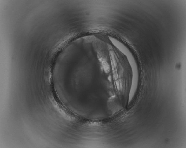 X0000114720637200911181405