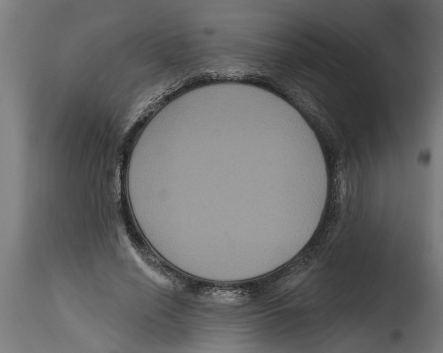 X0000114720638200911181405