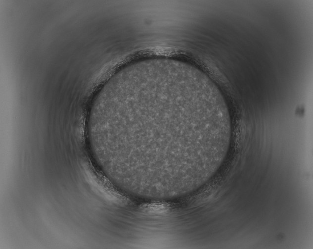 X0000114720639200911181405