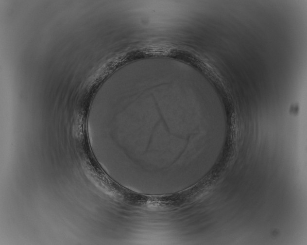 X0000114720641200911181405