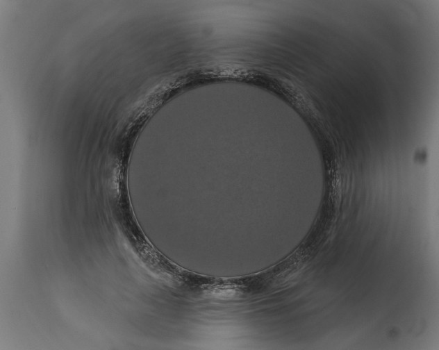 X0000114720643200911181405