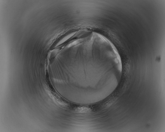 X0000114720644200911181405