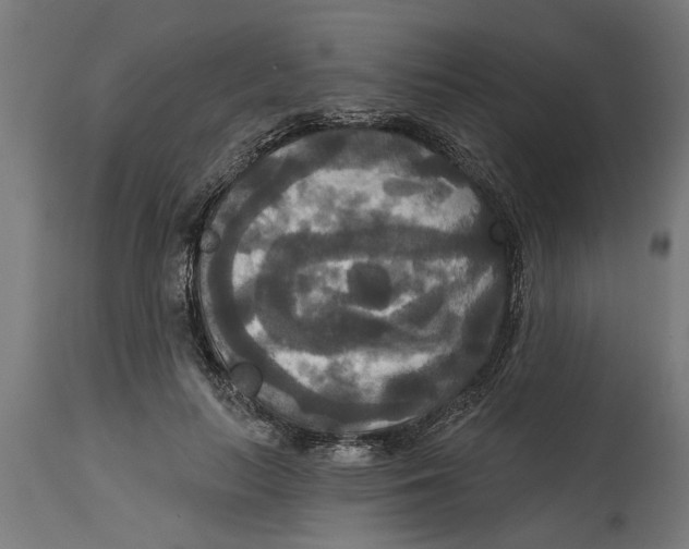 X0000114720647200911181405