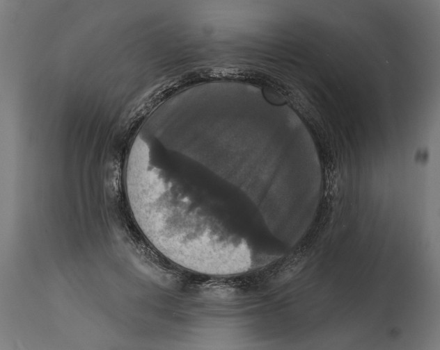 X0000114720648200911181405