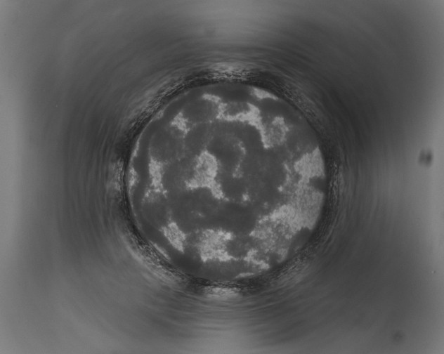 X0000114720649200911181405