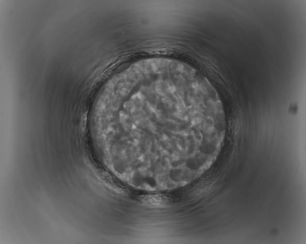 X0000114720652200911181405