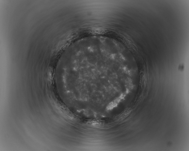 X0000114720655200911181405