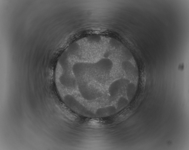 X0000114720657200911181405