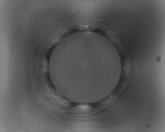 X0000114720659200911181405