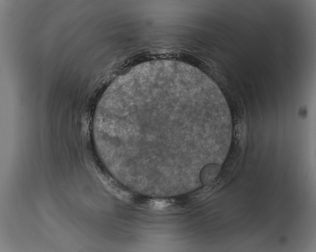 X0000114720662200911181405