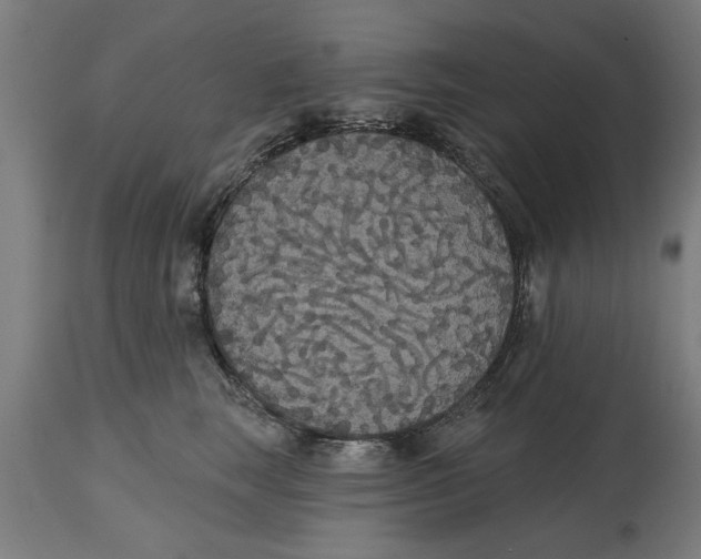 X0000114720663200911181405