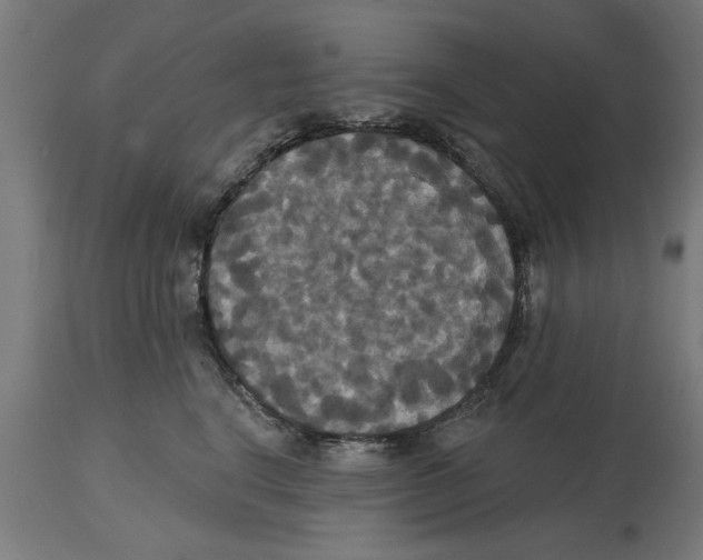 X0000114720664200911181405