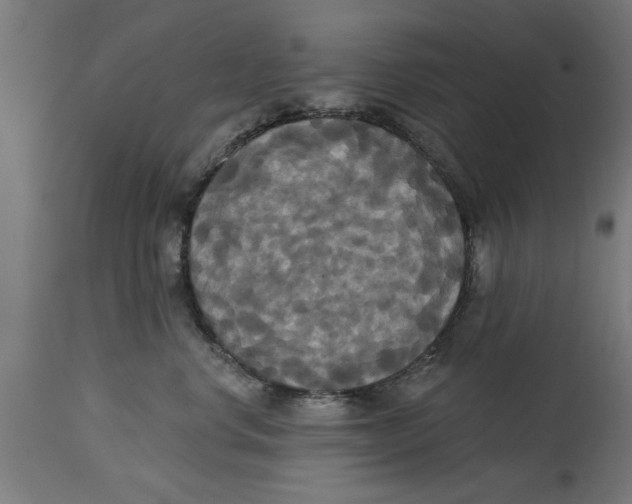 X0000114720668200911181406