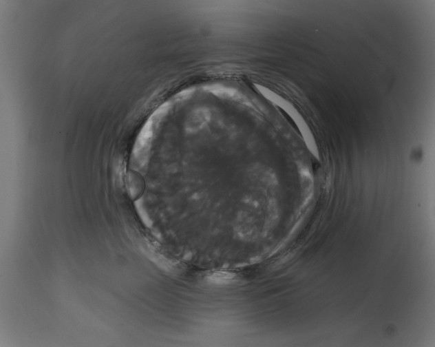 X0000114720669200911181406