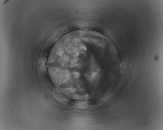 X0000114720671200911181406