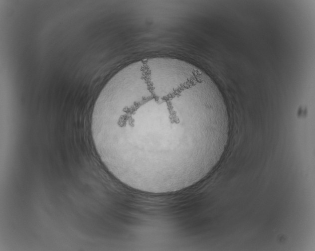 X0000114720672200911181406