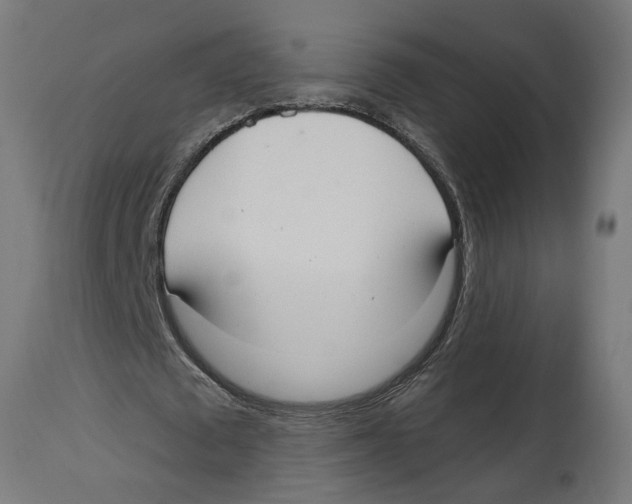 X0000114720673200911181405