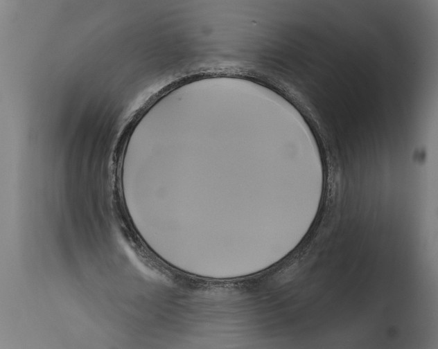 X0000114720674200911181405