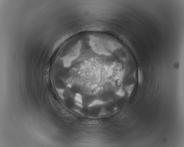 X0000114720675200911181405