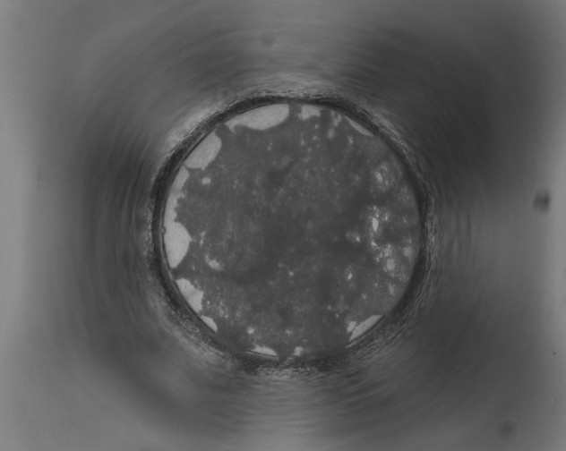 X0000114720679200911181405