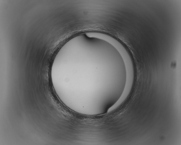 X0000114720681200911181405