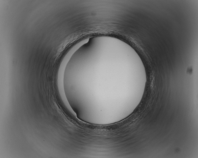 X0000114720685200911181405