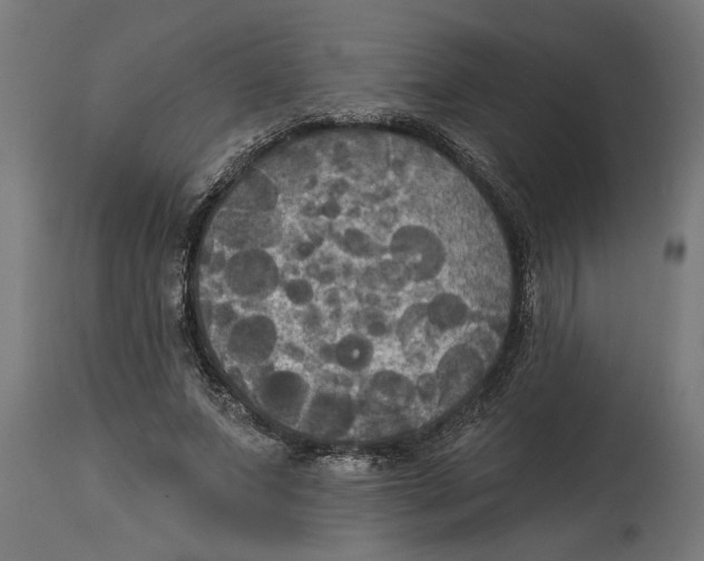 X0000114720687200911181405