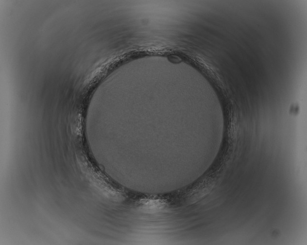 X0000114720689200911181405