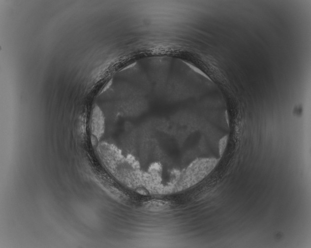 X0000114720691200911181405