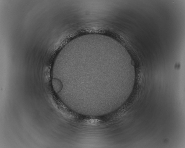 X0000114720695200911181404