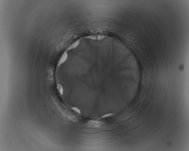 X0000114720699200911181404