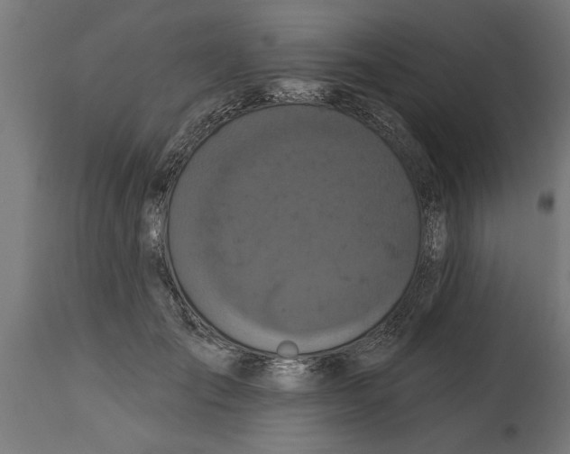 X0000114720701200911181404