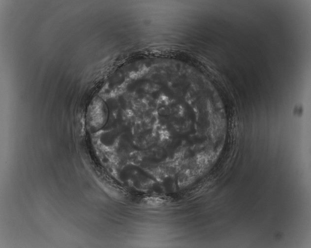 X0000114720703200911181404