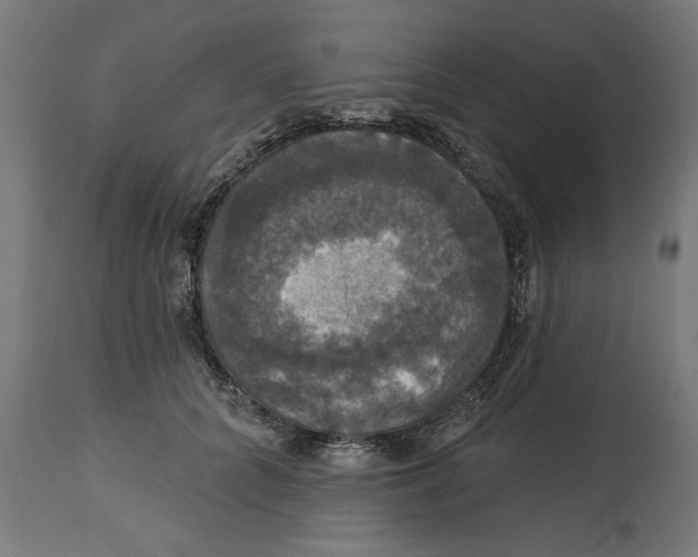 X0000114720704200911181404