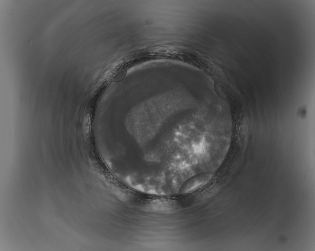 X0000114720708200911181404