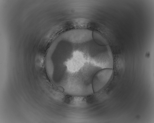 X0000114720709200911181404