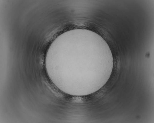 X0000114720710200911181404