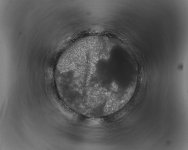 X0000114720711200911181404