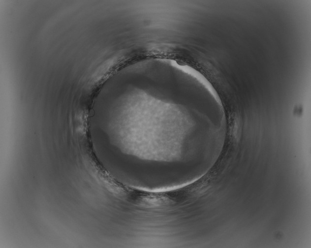 X0000114720712200911181404