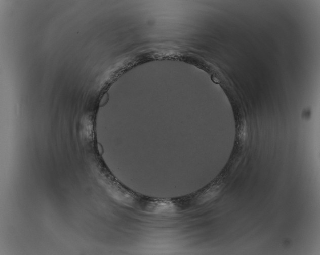 X0000114720715200911181404