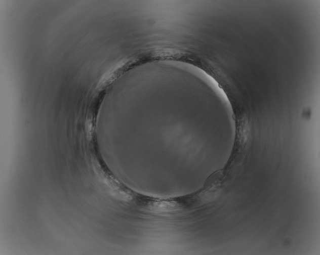 X0000114720716200911181404