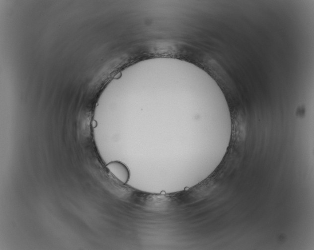 X0000114720717200911181404