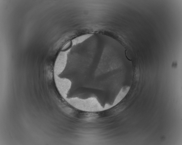 X0000114720719200911181404