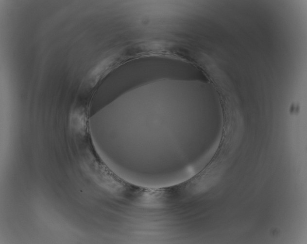 X0000114720720200911181404