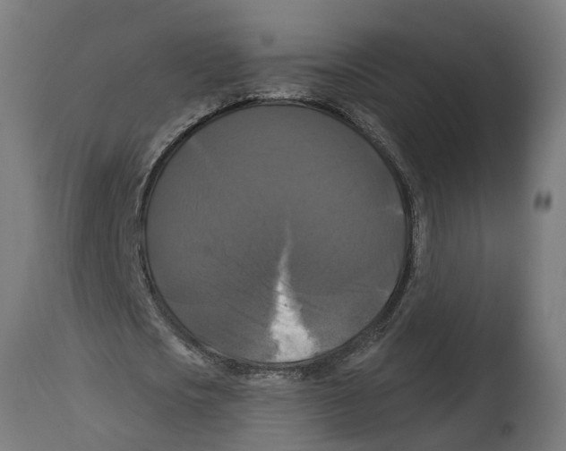 X0000114720721200911181403